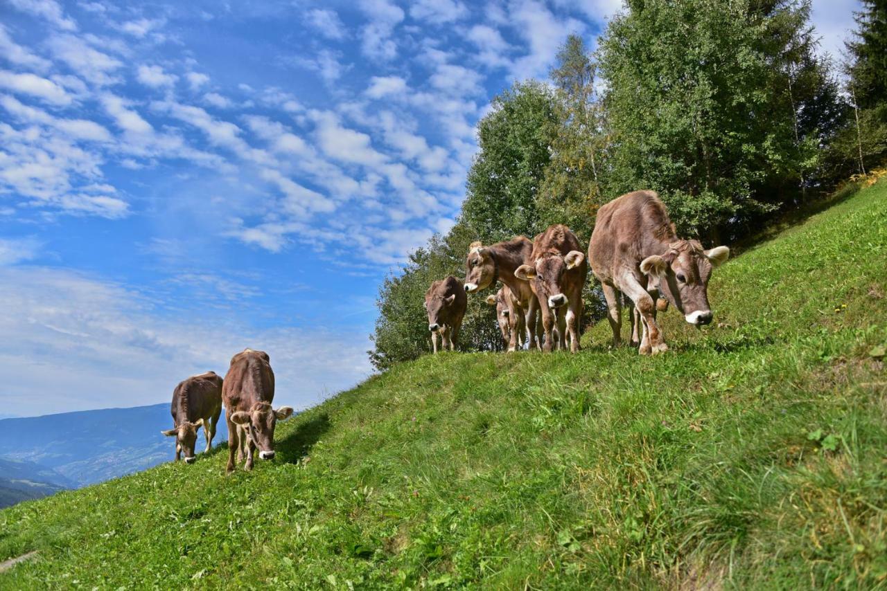 Ferienwohnung Obererhof Sant'Andrea in Monte Exterior foto